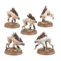 KROOT HOUNDS