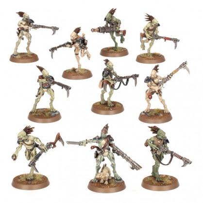 KROOT CARNIVORES