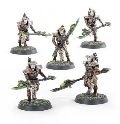 NECRON LYCHGUARD OR TRIARCH PRAETORIANS