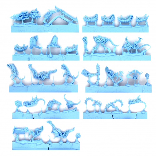 TERATIC COHORT